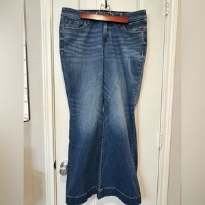 Lane Bryant flare jeans